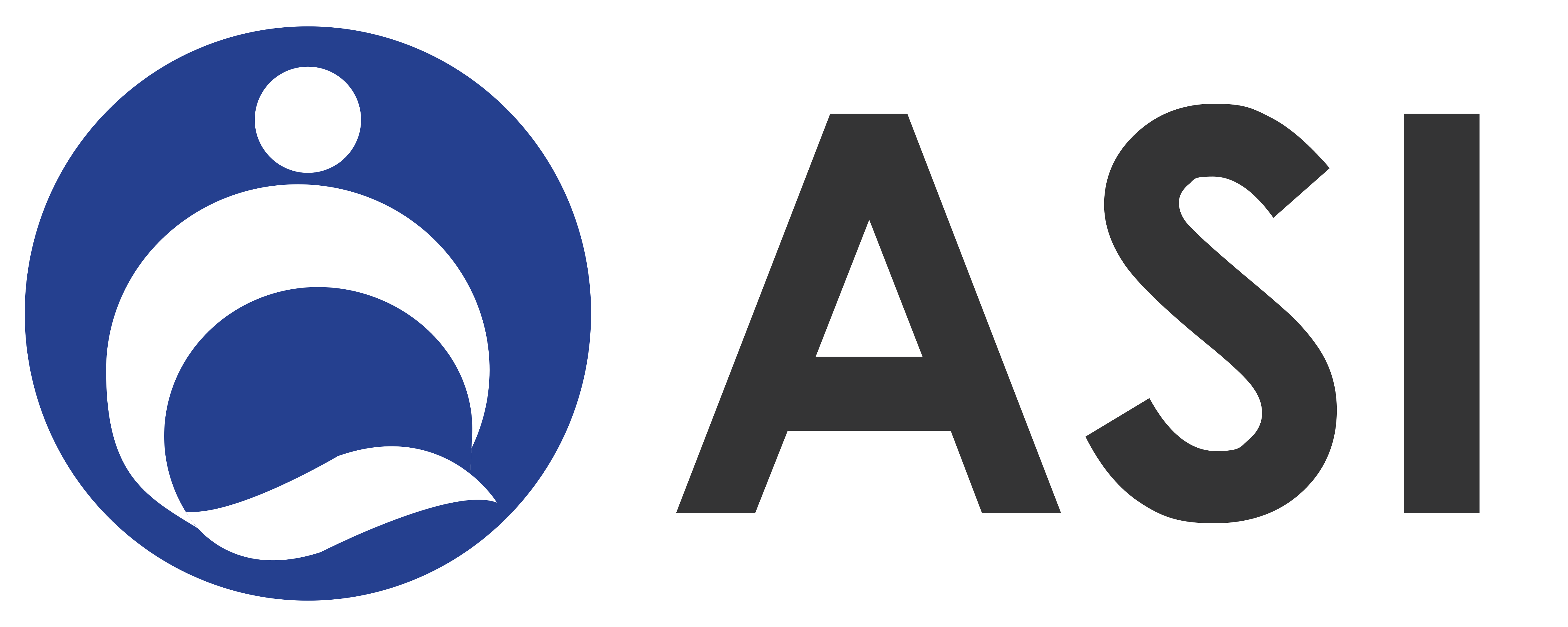 Image of Anand Systems Inc's Logo