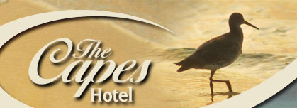 Image of Capes Hotel's Logo